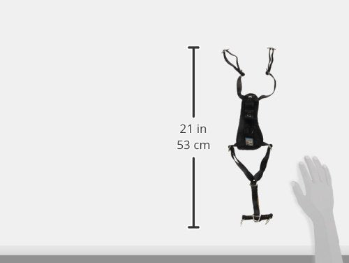 Kurgo Dog Harness | Car Harness for Dogs | Small | Pet Safety Seat Belt | Certified Crash Tested Harness | Car Seatbelt | Tru-Fit Enhanced Strength Style | Black