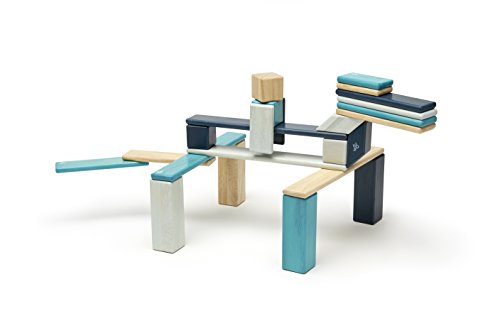 24 Piece Tegu Magnetic Wooden Block Set, Blues, 1-99 years old