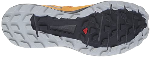 Salomon Sense Ride 4 Trail Running Shoes for Men, Vibrant Orange/Ebony/Quarry, 10