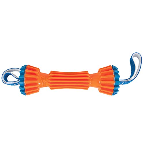 ChuckIt! Rugged Bumper Dog Toy, Large