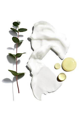 Jack Black Beard Lube Conditioning Shave, 16 Fl Oz (Pack of 1)