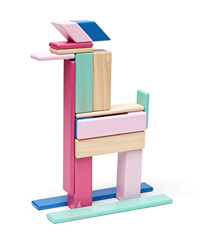 24 Piece Tegu Magnetic Wooden Block Set, Blossom, 1-99 years old