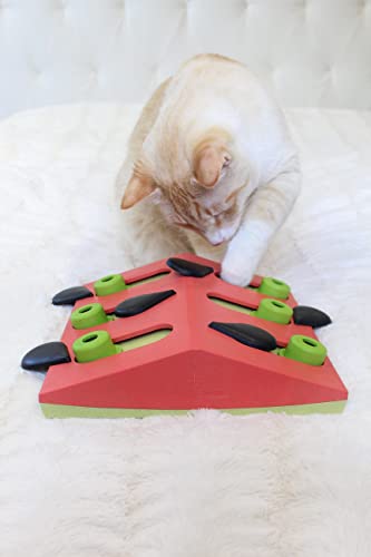 Petstages Nina Ottosson Melon Madness Puzzle and Play - Interactive Cat Treat Puzzle