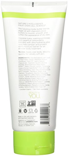 Andalou Naturals Kukui Cocoa Nourishing Body Butter, 8 Ounce