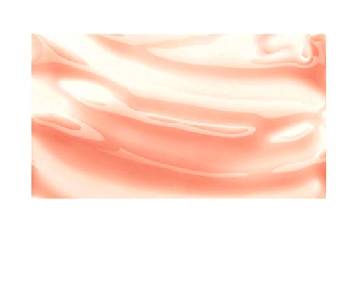 Burts Bees Mothers Day Lip Gloss Gifts for Mom, Moisturizing Lip Shine for Women, 100% Natural, Blush, 0.5 Oz