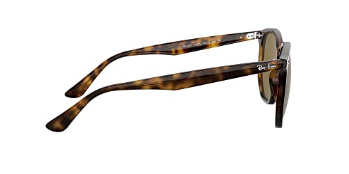 Ray-Ban RB4306 Sunglasses + Vision Group Accessories Bundle (Light Havana/Dark Brown (710/73)