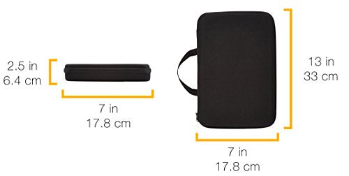 Amazon Basics Large Carrying Case for GoPro And Accessories - 13 x 9 x 2.5 Inches, Black