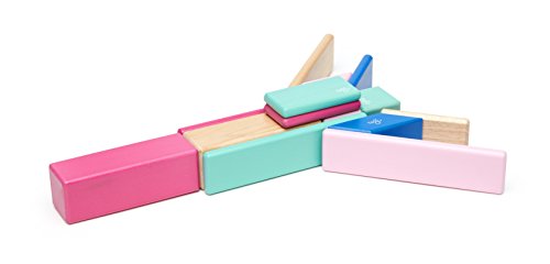 14 Piece Tegu Magnetic Wooden Block Set, Blossom