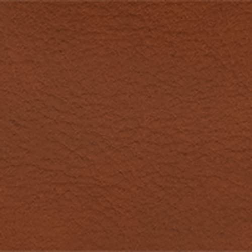 Fossil Women's Liza Eco Leather Camera Bag Crossbody Purse Handbag