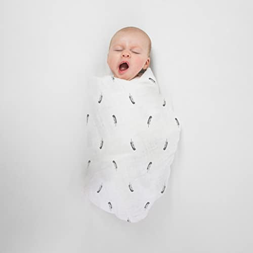Amazing Baby Muslin Swaddle Blanket, Premium Cotton, Little Feather, Gray and Soft Black, 1 pack