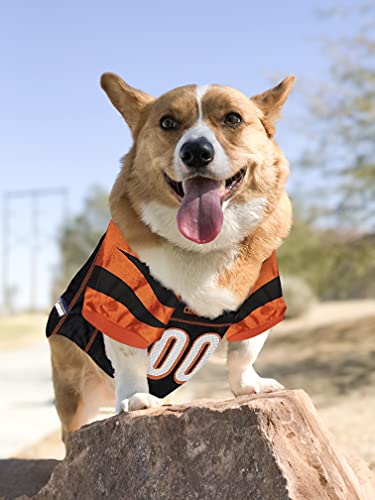 NFL Cincinnati Bengals Dog Jersey, Size: Small. Best Football Jersey Costume for Dogs and Cats. Licensed Jersey Shirt.