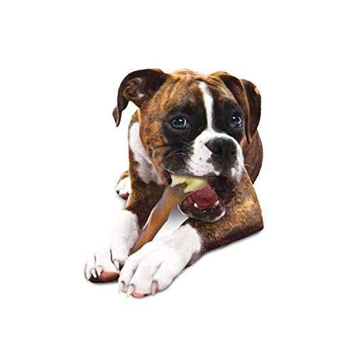 Nylabone Femur Bone Rawhide Alternative Power Chew Durable Dog Toy Femur Rawhide Large/Giant (1 Count)