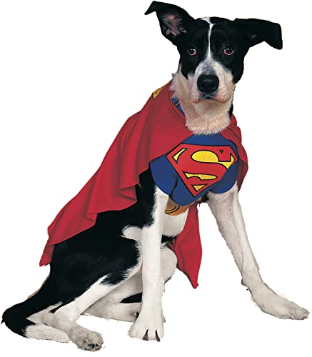 Rubie's unisex adult Rubie s DC Comics Classic Superman Pet Costume Small, Blue, Neck 12 Girth 17 Back 11 US