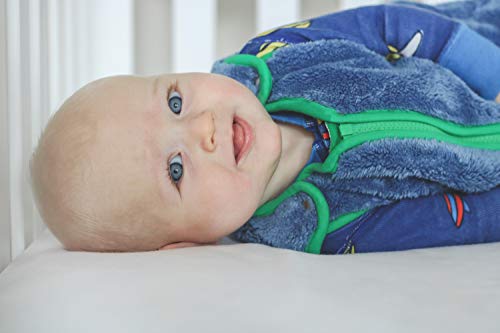 baby deedee Sleep Nest Teddy Baby Sleeping Bag, Fuzzy Dino, Small (0-6 Months)