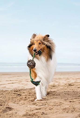 Pet Qwerks X-Tire Ball Dog Toys - Rope Interactive Chew Toy - Medium