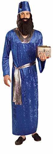 Forum Novelties mens teen boys Biblical Times Wise Man Adult Sized Costumes, Blue, One Size US