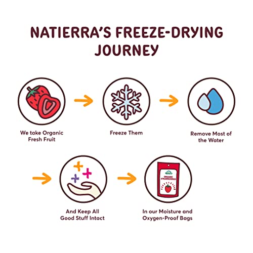 NATIERRA Nature's All Foods Organic Freeze-Dried Apples | Non-GMO and Vegan | 1.5 Ounce