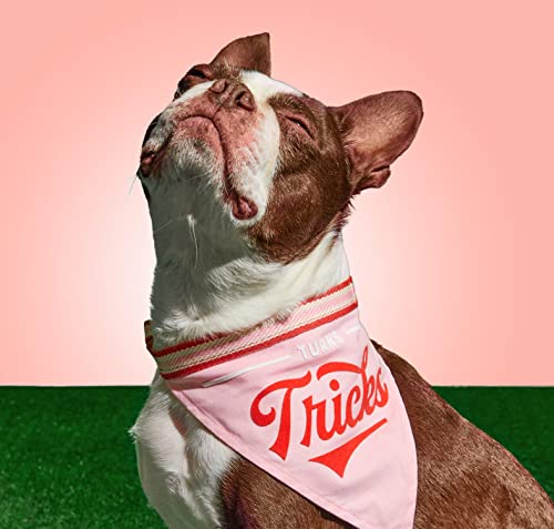 Brass Monkey Turns Tricks Dog Bandana; Durable Cotton Pet Bandana; One Size Fits Most; 9” W x 6” H; 30” Tie Ribbon; Cute Dog Accessories with Eye-Catching Design
