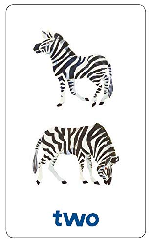 World of Eric Carle (TM) Numbers and Counting Flash Cards: (Learning To Count Cards, Math Flash Cards for Kids, Eric Carle Flash Cards)