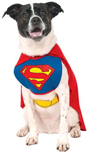 Rubie's unisex adult Rubie s DC Comics Classic Superman Pet Costume Small, Blue, Neck 12 Girth 17 Back 11 US