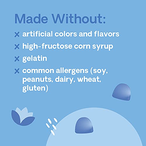 Hello Bello Organic Ashwagandha Gummies With B12 And B6 - Stress And Mood Support Vitamins Vegan, Plant-Based, Non-GMO Gummy Vitamins I 60 Count