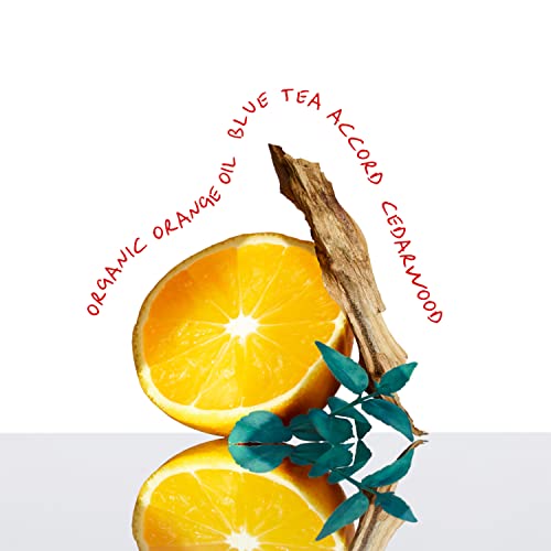 Calvin Klein CK Everyone Unisex Eau de Toilette, 50ml