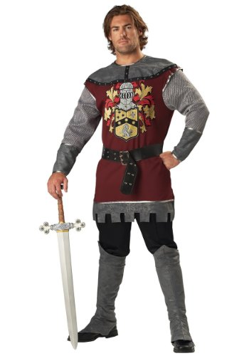 Fun World mens Costumes Noble Knight adult sized costumes, Multicolored, X-Large US