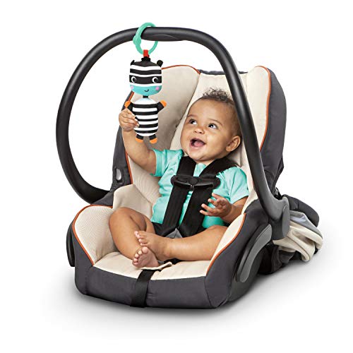 Bright Starts Zig Zag Safari Activity Gym and Play Mat with Take-Along Toys, Ages Newborn +