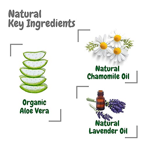 Aleva Naturals Hypoallergenic Sleep Easy Baby Hair and Body Wash for Kids and Toddlers, Plant-Based Organic Aloe Vera Formula with Lavender Scent, Gentle on Eyes and Sensitive Skin - 8 Fl Oz