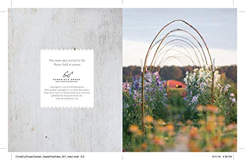 Floret Farm's Cut Flower Garden: Sweet Pea Notes: 20 Notecards and Envelopes (Floral Stationery, Flower Themed Blank Notecards)