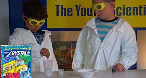 The Magic School Bus Rides Again: Growing Crazy Crystals By Horizon Group USA, Homeschool STEM Kit, Includes Educational Manual, Magnifying Glass, Petri Dish, Charcoal, Observation Chart and More, multi (WH-925-1158)