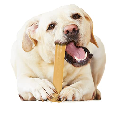 Nylabone Power Chew Flavored Durable Chew Toy for Dogs Peanut Butter Large/Giant (1 Count)