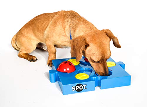 SPOT Seek-a-Treat Flip 'N Slide Treat Dispenser for Dogs | Dog Treat Dispenser | Dog Treat Dispenser Toy | Interactive Puzzle | Dog Treat Toys For Boredom | Dog Treat Toy Puzzle | Dog Toy Games, Model:5779