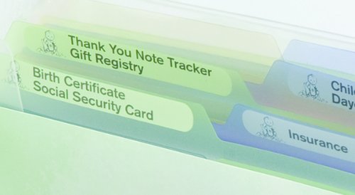 Baby Briefcase Baby Paperwork Organizer, Mint/Periwinkle