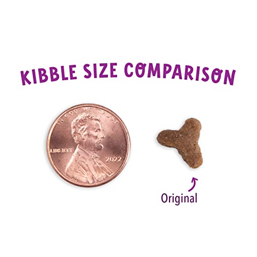 Health Extension Dry Cat Food, Natural Food with Added Vitamins and Minerals, Suitable for All Kittens and Adult Cats, Turkey and Salmon Recipe with Whole Vegetable and Berries (15 Pound / 6.8 kg)