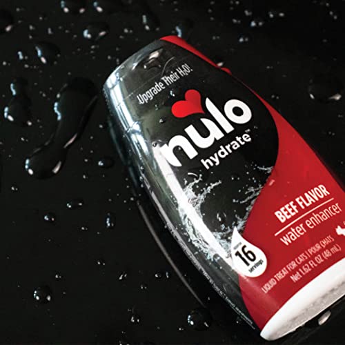 Nulo Hydrate Premium Water Enhancer for Cats, with Nutritional Electrolytes to Help Water Absorption Along with Amino Acids and Vitamins to Support Your Cats Overall Health, Pack of 12