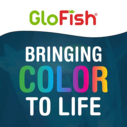 GloFish aquarium Gravel 5 Pounds, Black With Fluorescent Accents, Complements GloFish Tanks