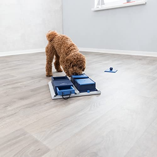 TRIXIE Dog Activity Poker Box 1 Dog Puzzle Toy | Dog Treat Puzzle | Interactive Play | Enrichment Toys | Slow Feeder