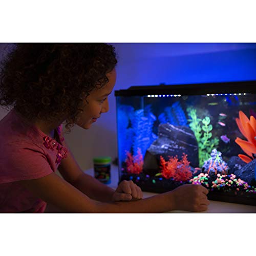 GloFish aquarium Gravel 5 Pounds, Black With Fluorescent Accents, Complements GloFish Tanks