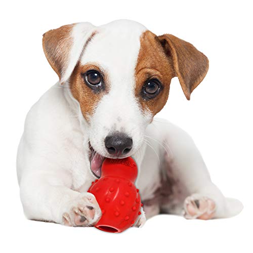 Nylabone Strong Chew Cone Stuffable Chew Toy for Dogs Cone Bacon Small/Regular (1 Count)