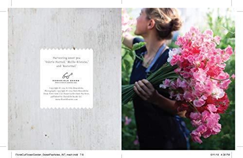 Floret Farm's Cut Flower Garden: Sweet Pea Notes: 20 Notecards and Envelopes (Floral Stationery, Flower Themed Blank Notecards)