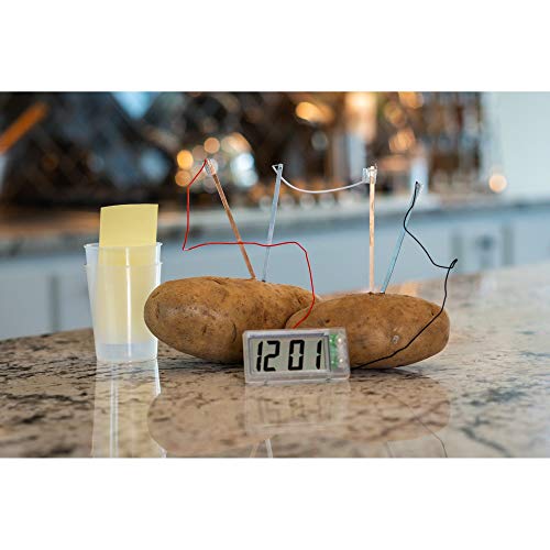 4M Potato Clock DIY Green Science Chemistry Engineering Lab - STEM Toys Educational Gift for Kids and Teens, Girls and Boys, Brown