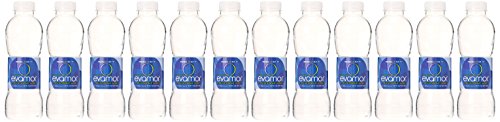 Evamor Natural Alkaline Artesian Water, 20-oz Bottles (Pack of 12)