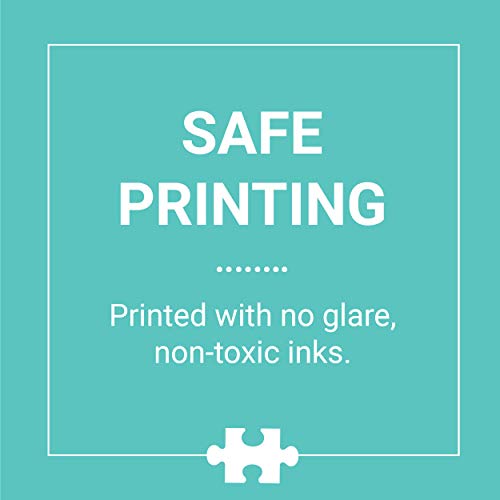 Galison Succulent Garden 500 Piece Double Sided Jigsaw Puzzle for Adults and Families, Fun Family Puzzle with Plants and Succulent Theme, Multicolor