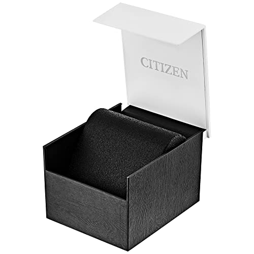 Citizen Men's Eco-Drive Weekender Watch in Stainless Steel with Black Polyurethane strap, Black Dial (Model: AW1150-07E)