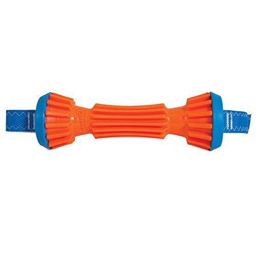 ChuckIt! Rugged Bumper Dog Toy, Small