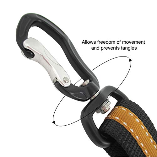 Kurgo Direct to seat belt Tether for Dogs, Car seat belt for Pets, Adjustable Dog Safety Belt Leash, Quick and Easy Installation, Works with Any Pet Harness, Carabiner, Swivel, Bungee, Zipline
