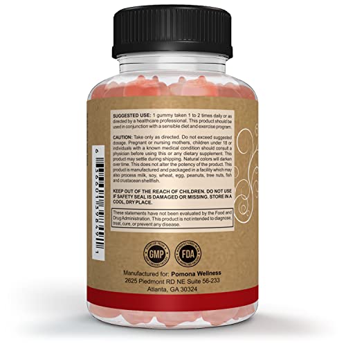 Pomona Wellness Apple Cider Vinegar Gummies with B Vitamins for Immune Support, Detox and Cleanse, ACV Gummy for Digestion, Overall Health, Vegan, 60 Count