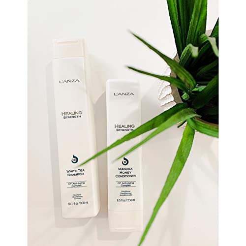 L'ANZA Healing Strength White Tea Shampoo, Strengthens, Protects and Restores Weak, Fragile, and Aged Hair, Rich with Keratin Protein, Healing Oils and Vitamin C (10.1 Fl Oz)