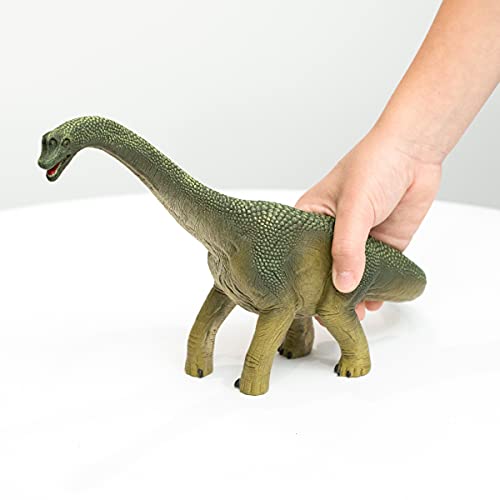 Schleich Dinosaurs, Dinosaur Toy, Dinosaur Toys for Boys and Girls 4-12 Years Old, Brachiosaurus , Green